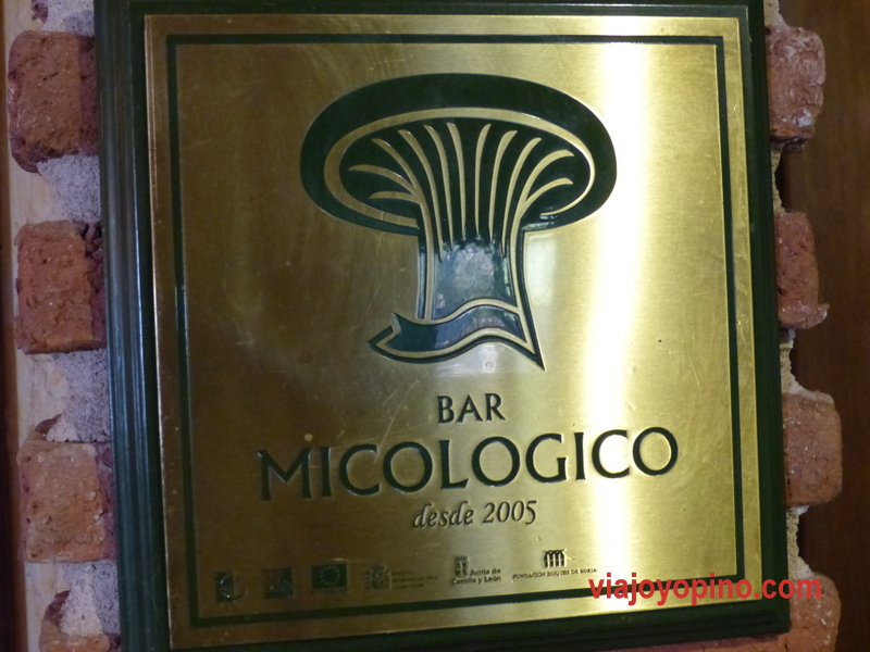 bar micológico, setas, la galamperna, gredos, viajoyopino.com, travelblog